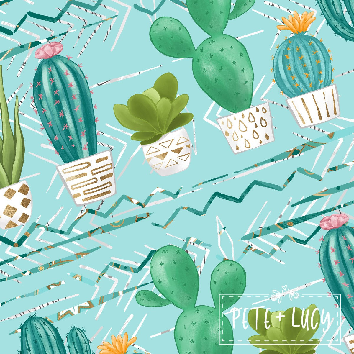 P+L Prickly But Cute